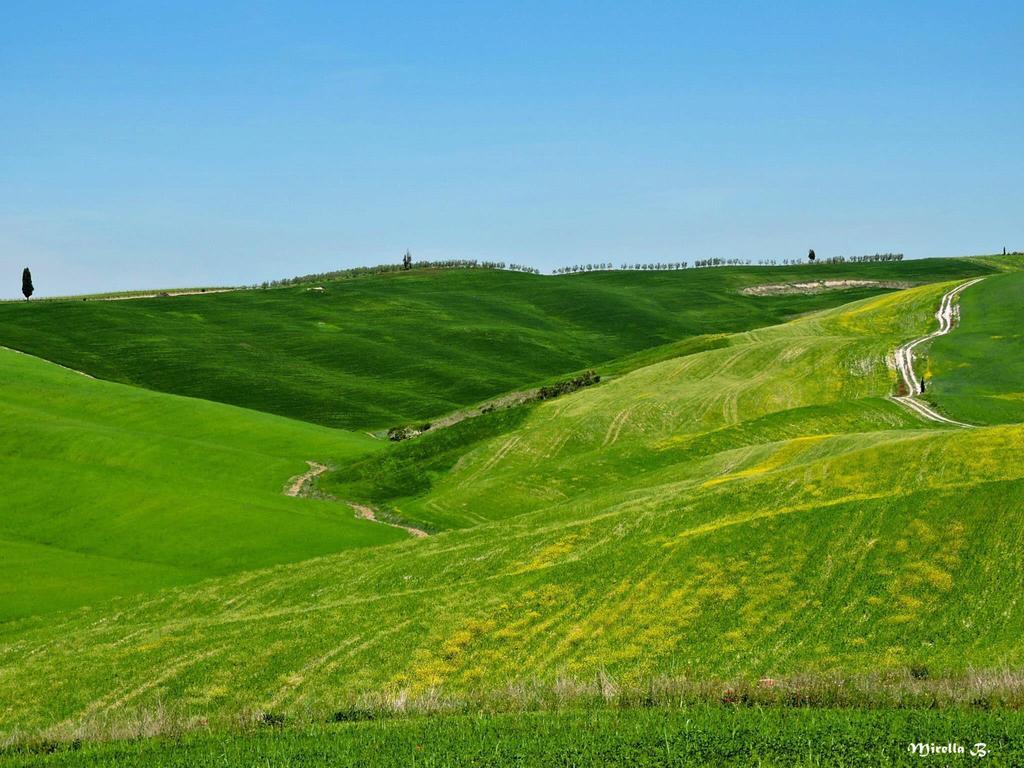 Antica Locanda Pienza Dış mekan fotoğraf