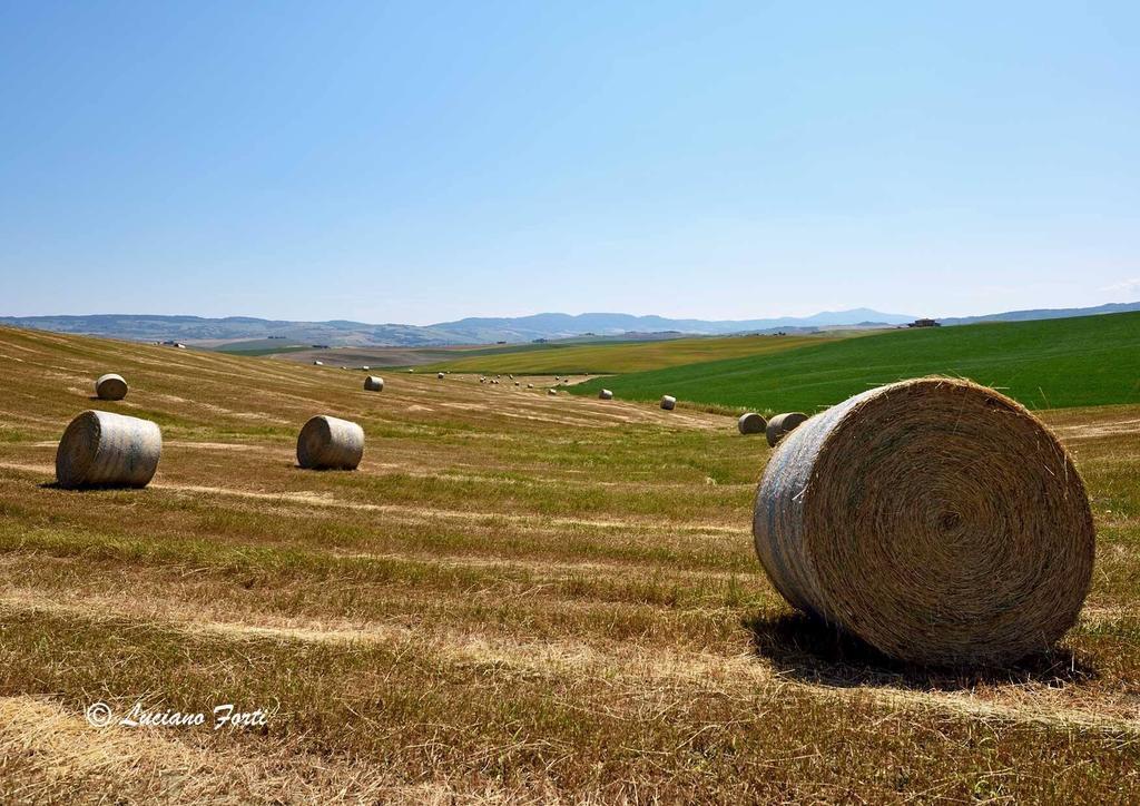 Antica Locanda Pienza Dış mekan fotoğraf